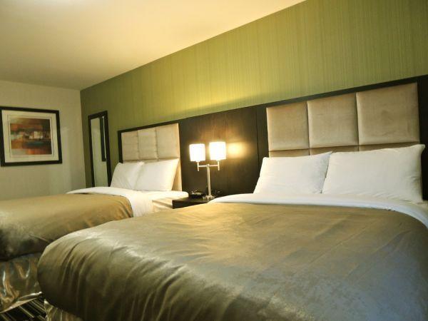 Western Star Inn & Suites Stoughton Oda fotoğraf